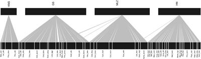 The Coexistence Relationship Between Plants and Soil Bacteria Based on Interdomain Ecological Network Analysis